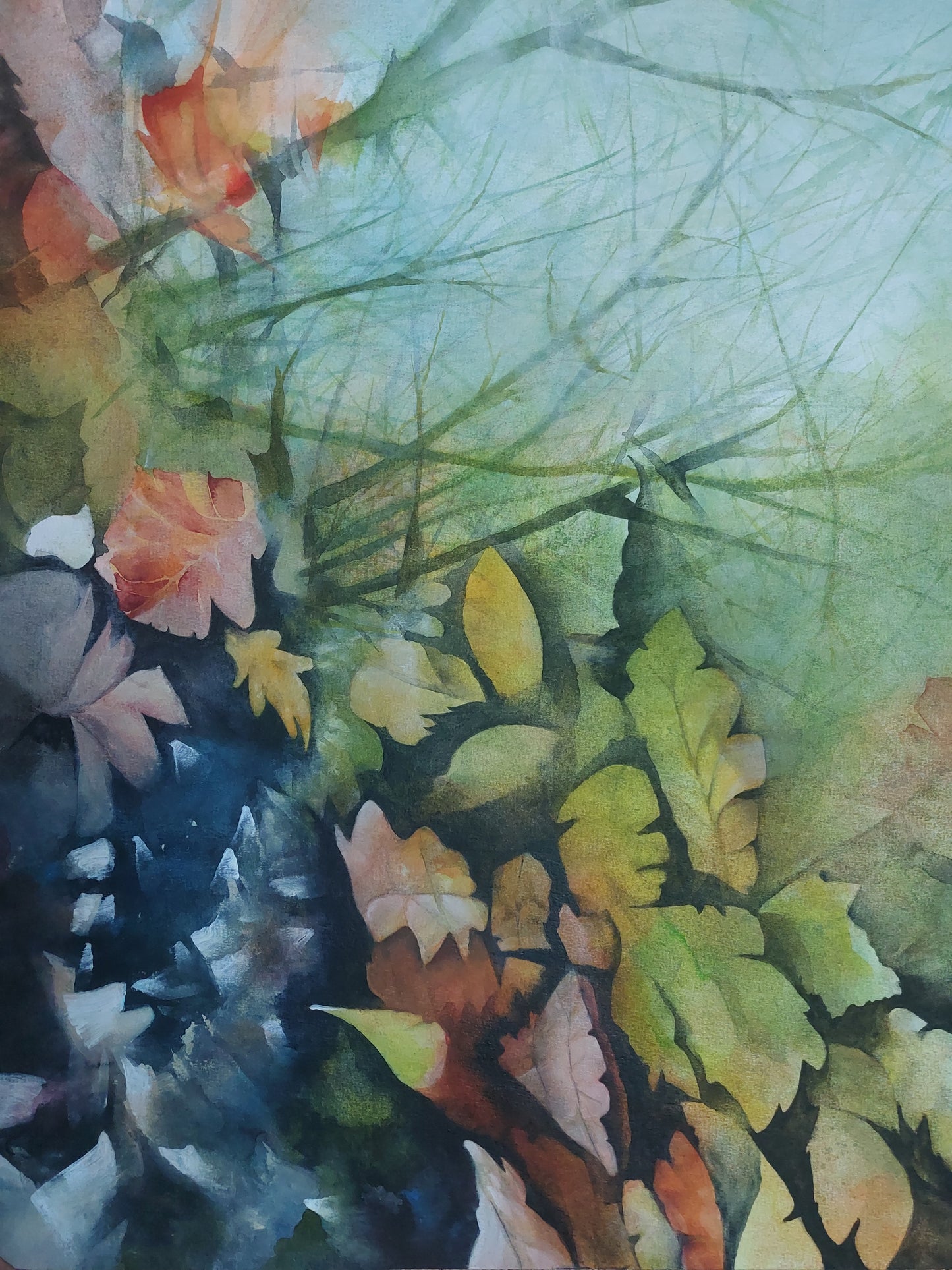 "Balade dans les Hortillonnages,reflets d'automne" réf #45